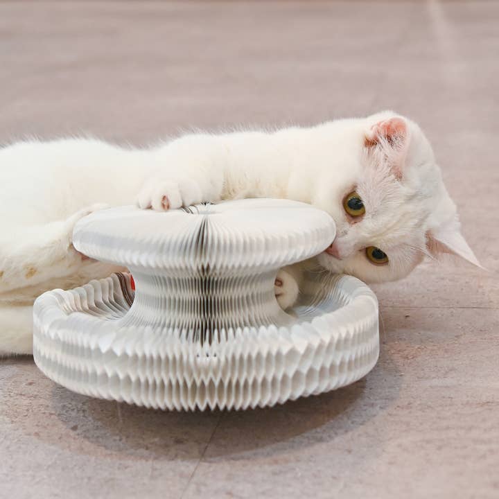Olchi - Wholesale Pet Toy - Cat - WIGGLEE MAGIC BALL TRACK (CAYA-TO9520)