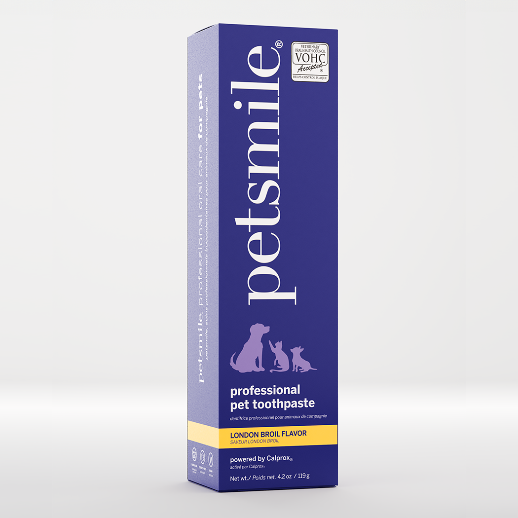 Petsmile - Vendita all'ingrosso Dentifricio - Cani - Dentifricio professionale per animali Petsmile - Gusto London Broil6
