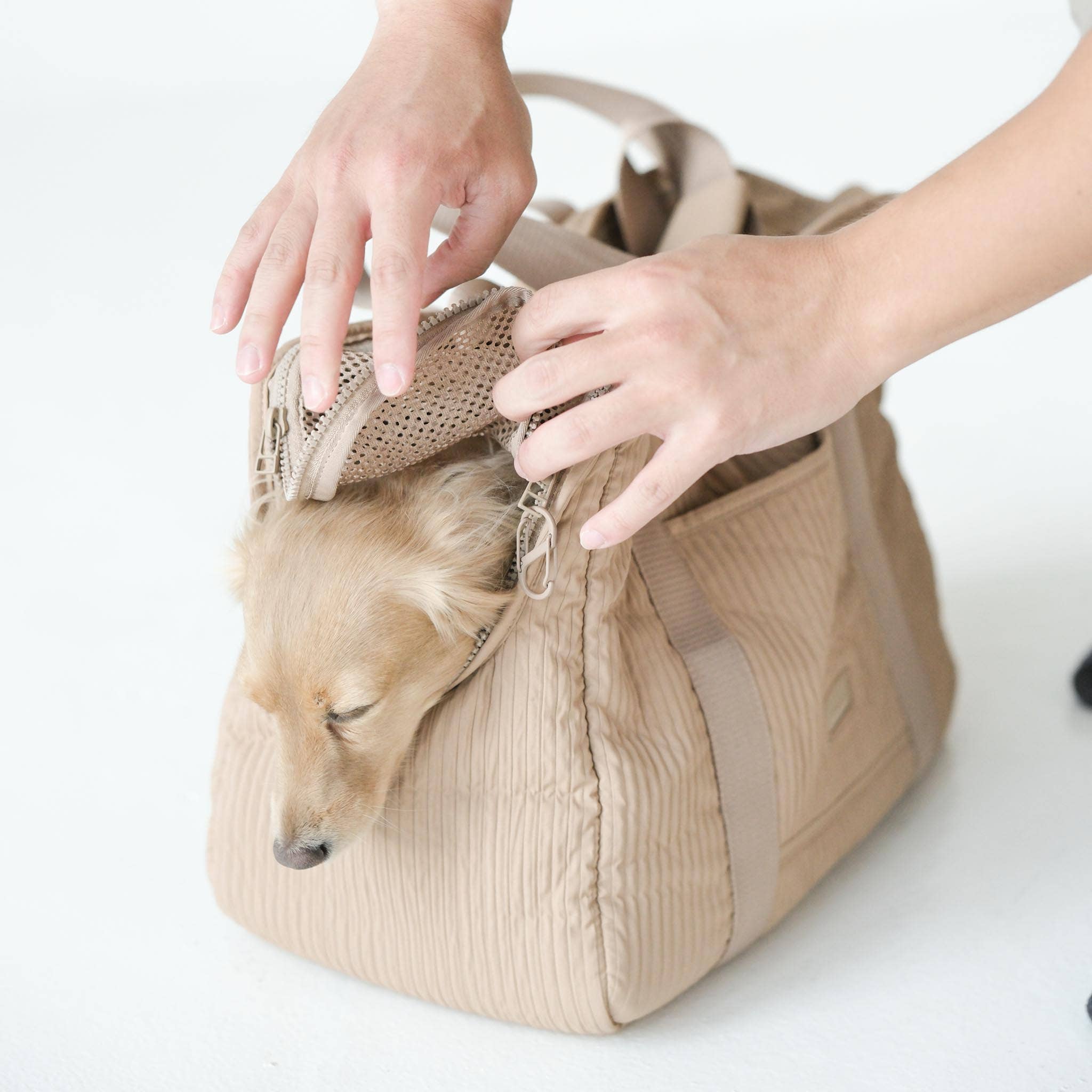 Lambwolf Collective – Caixa de transporte - Cão por atacado – TRANSPORTADORA DE ANIMAIS//CIDADE7