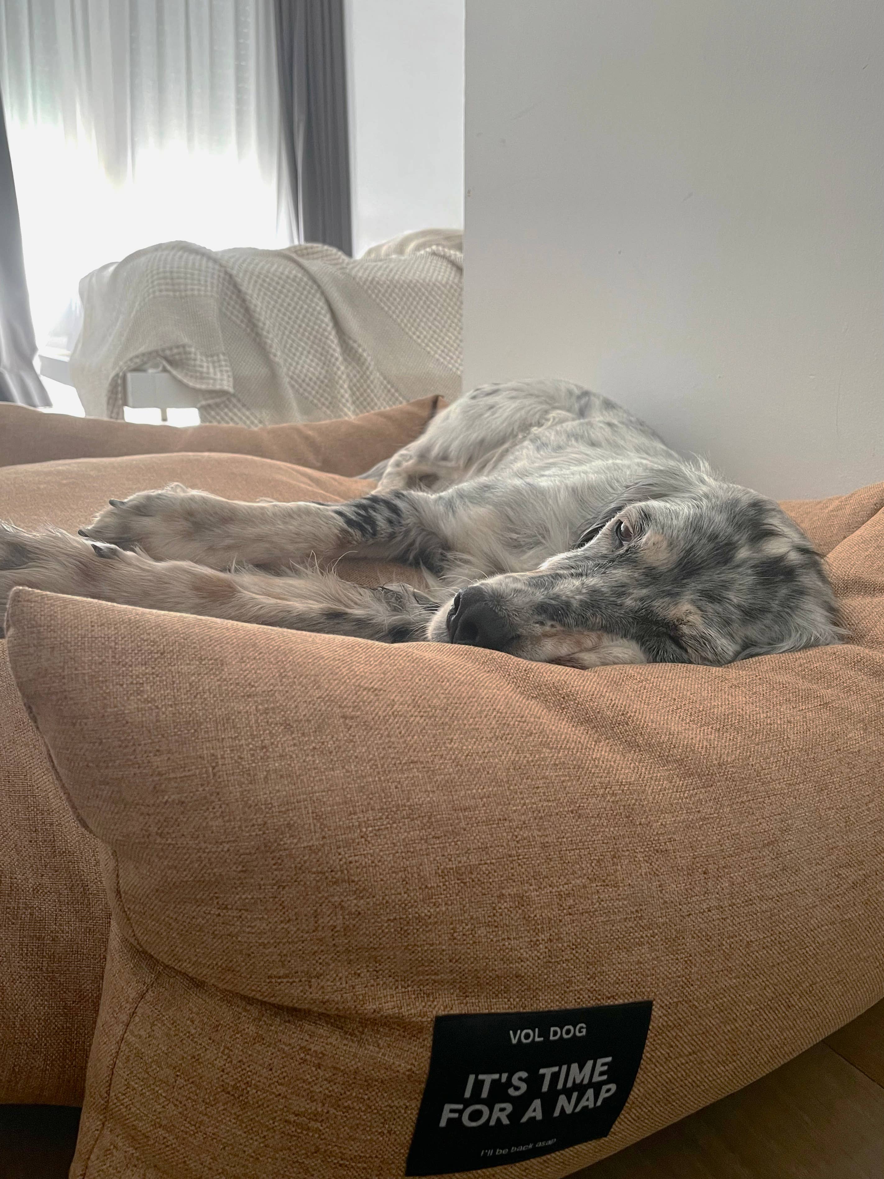 VOL DOG - Vendita all'ingrosso Letto - Cani - Divano per cani PILLOWS BED18