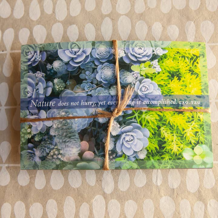 Set di otto carte Natura per la vendita all'ingrosso da parte di Banter by Greely Creative