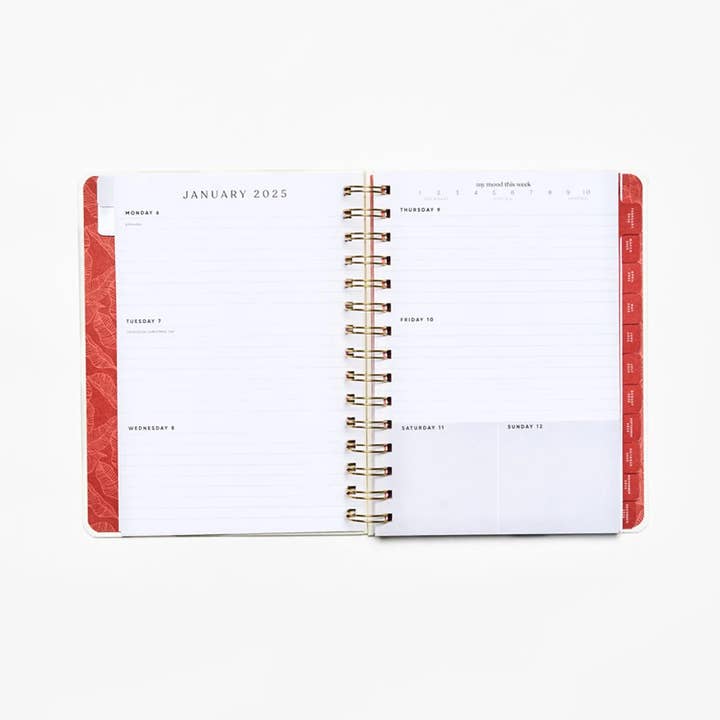Be Rooted - Wholesale Planner - 2025 Manifest Your Dreams Yearly 12 month Planner