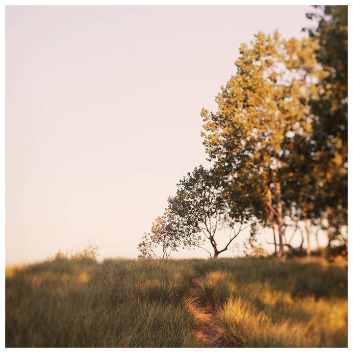 Guiding Light Fine Art Photograph for wholesale by Alicia Bock Print Shop