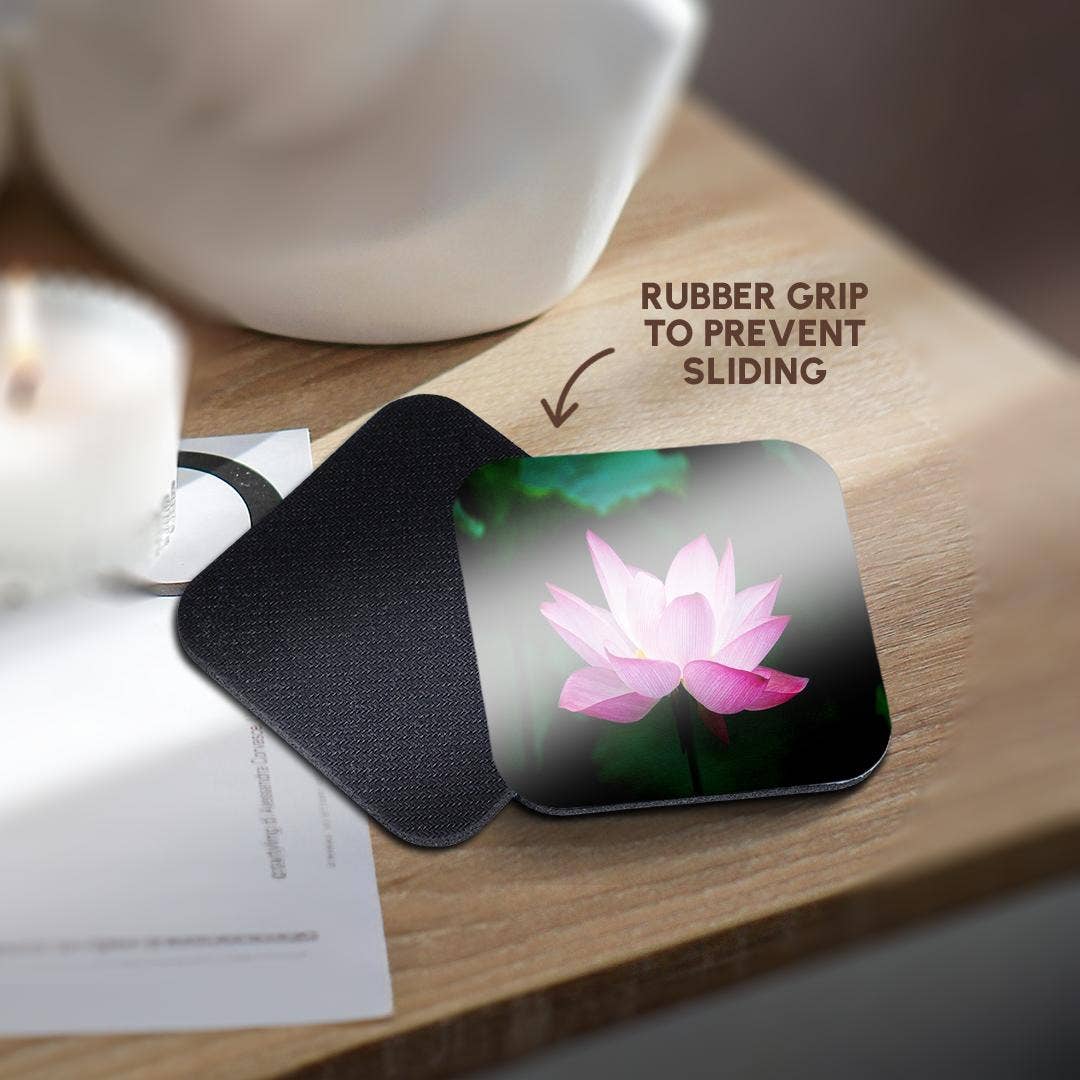 3dRose - Wholesale Coasters - 3dRose, Image of Pink Floating Water Lily, Coaster10