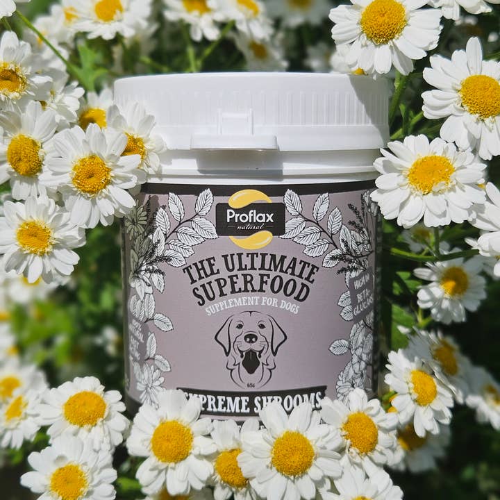 Proflax Superfood Supplements – wholesale Pet supplement – Dog – Proflax Supreme Shrooms Supplement for Dogs2