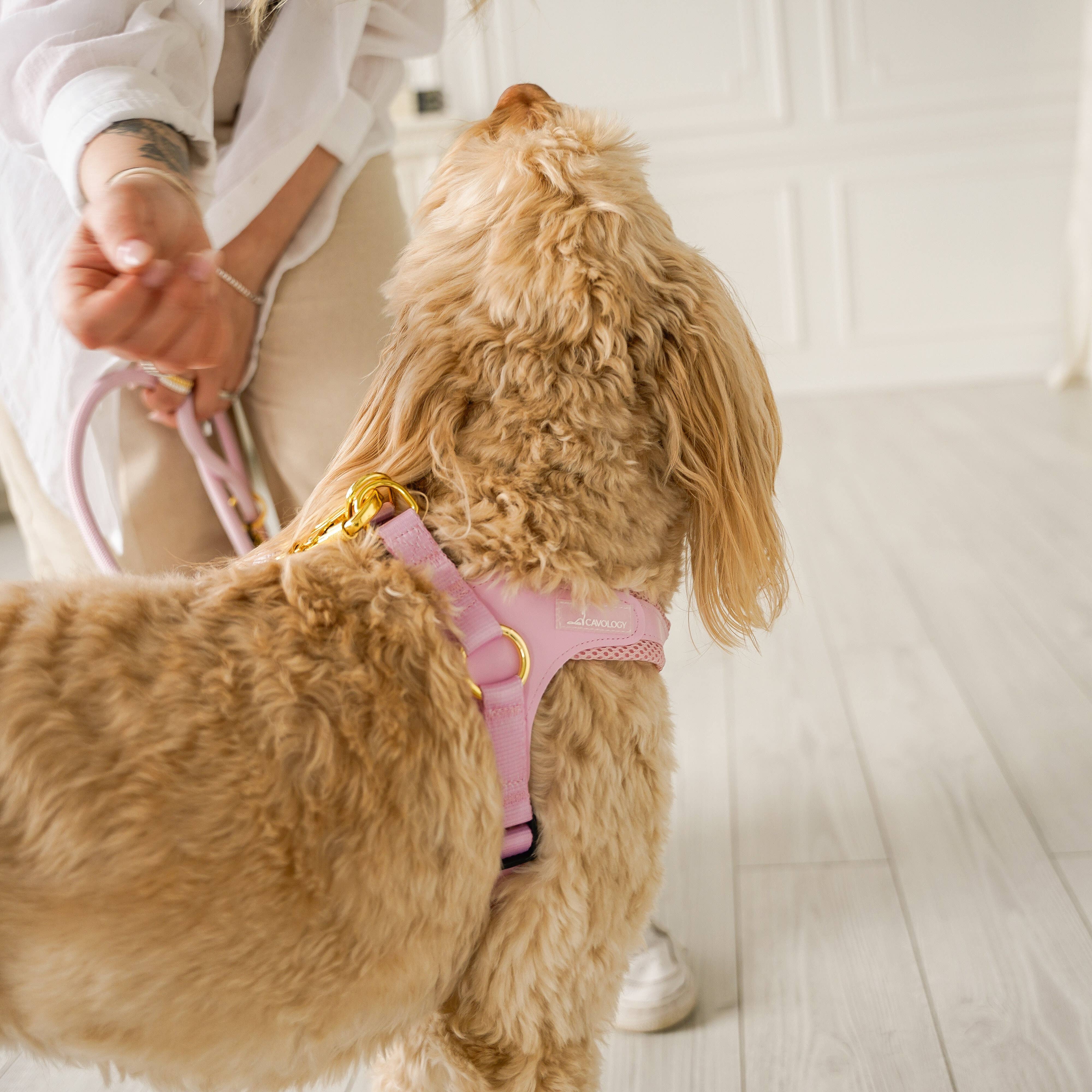 Cavology - Wholesale Pet Harness - Dog - DOG HARNESS EASY-O STEP IN HARNESS - Pink5