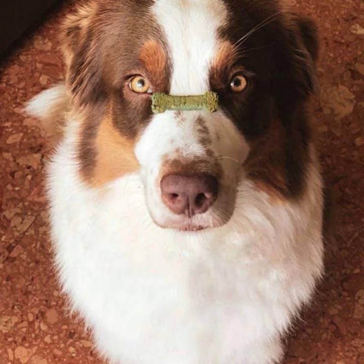 Cooka's Cookies - Wholesale Pet Treats - Dog - Porto Spirit - Natural Dog Treats with Superfoods4