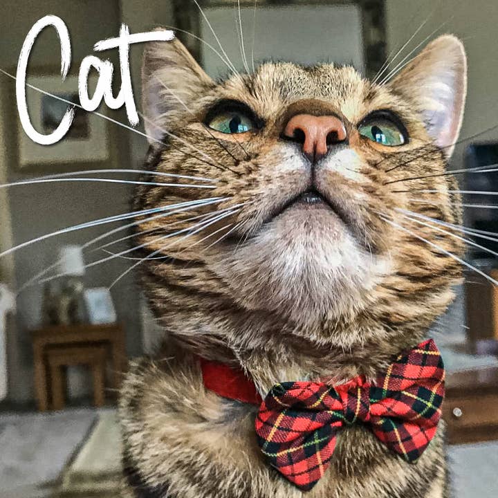 Ancol Pet Products Ltd – wholesale Halsband - Katt – Vintage Bow Kattkrage -Röd Tartan1