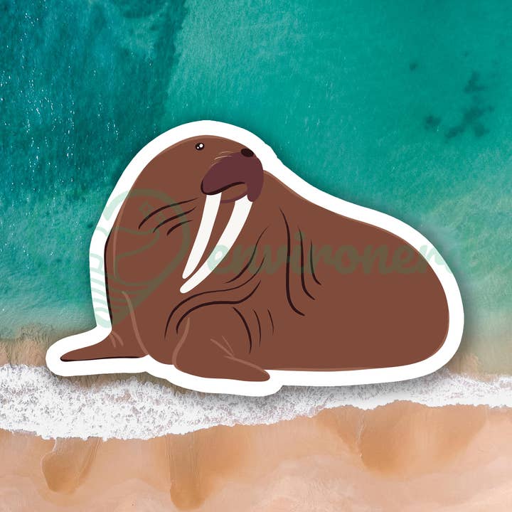 Walrus on land sticker for wholesale by Environerd