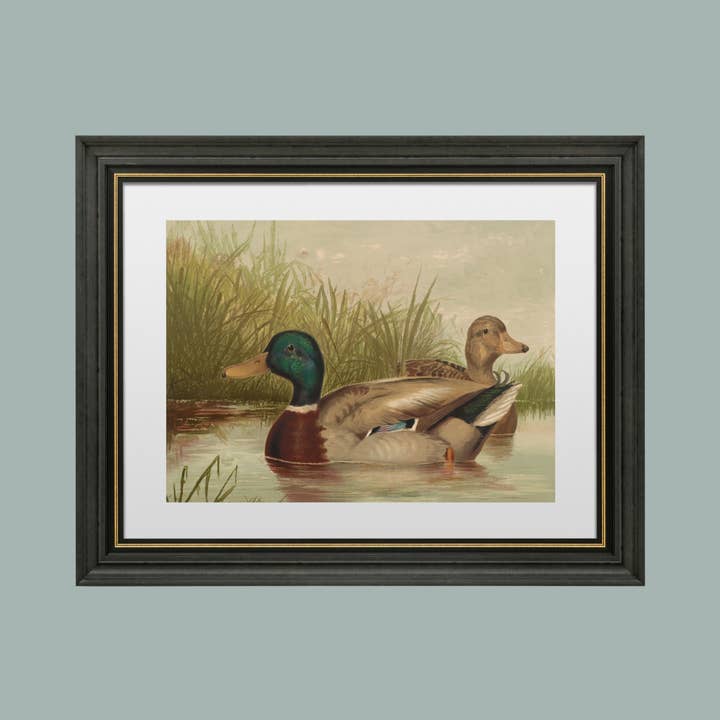 Sea to Skye - Wholesale Art Print - Ducks on the Pond Antique Art Print6