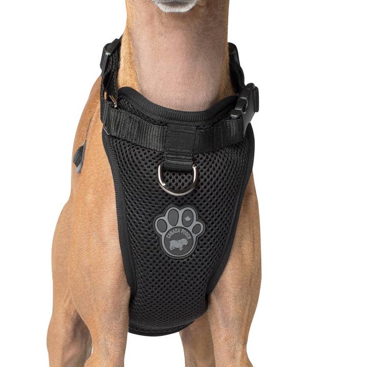 Harnais Everything - Harnais pour chien sans traction (maille) pour la vente par Canada Pooch
