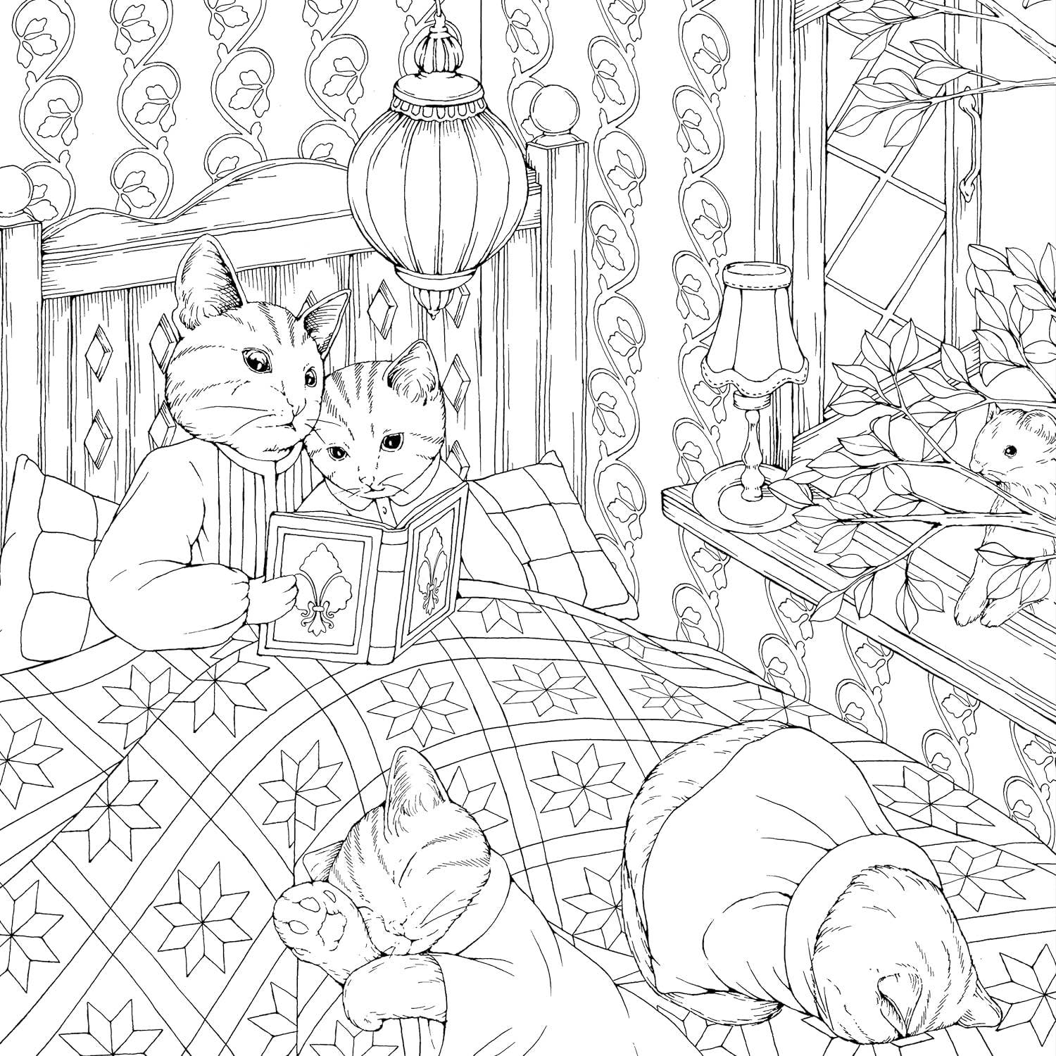 Fox Chapel Publishing - Wholesale Coloring & Activity Book - Adult - Kingdom of Curious Creatures - A Fairytale Adventure Book2