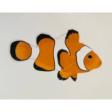 Studio Daedre - Wholesale Stationery/Notecard Set - Clown Fish - Boxed Note Cards0