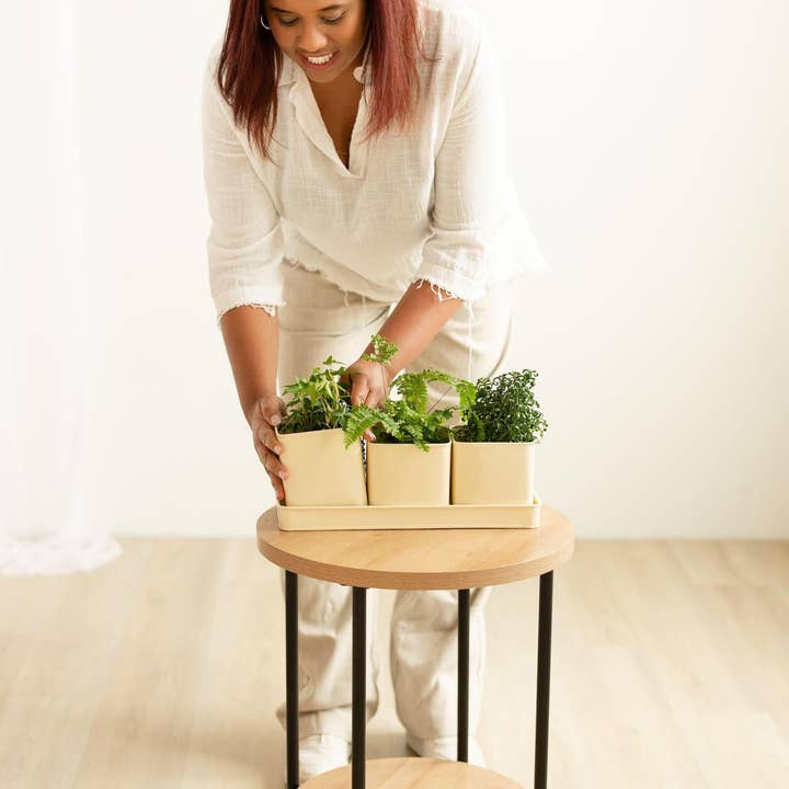 Mercy House Global - Wholesale Outdoor Sign - Window Planter Trio + Tray2