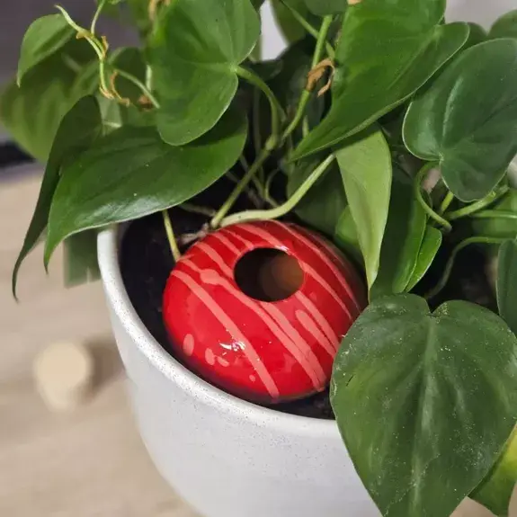 Poterie lutton - Vente Arrosoirs - Ollas Galet 15 cl – Arrosage autonome et stylé17