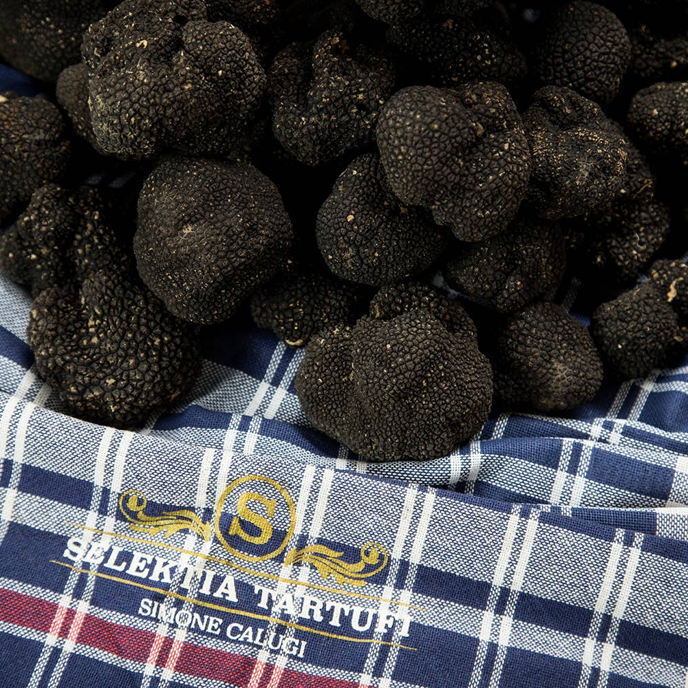 Selektia Tartufi - Wholesale Salsa - Zomertruffel (Tuber Aestivum Vitt.)2