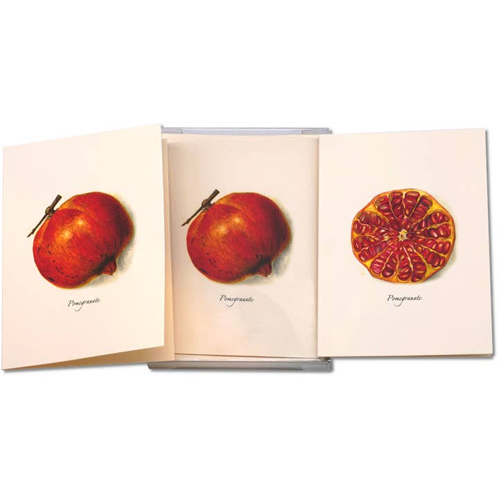 Earth Sky + Water - Wholesale Stationery/Notecard Set - Pomegranate3