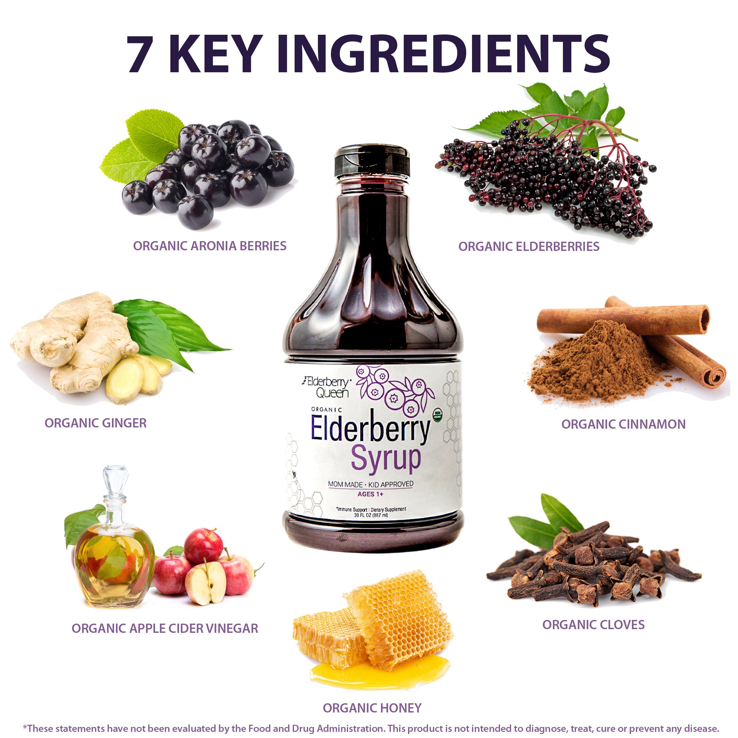 Elderberry Queen – Suplemento/vitamina oral por atacado – Xarope de Sabugueiro Biológico - 30oz8