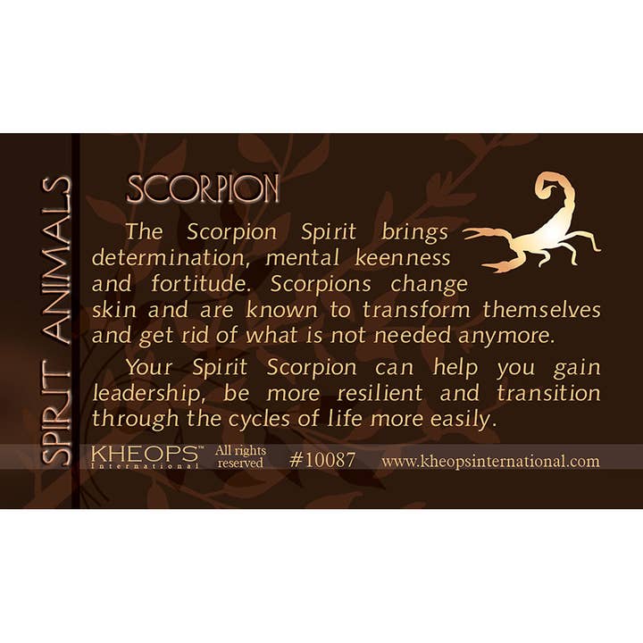 Spirit Animal Info Card Scorpion (Each) for wholesale by Kheops International