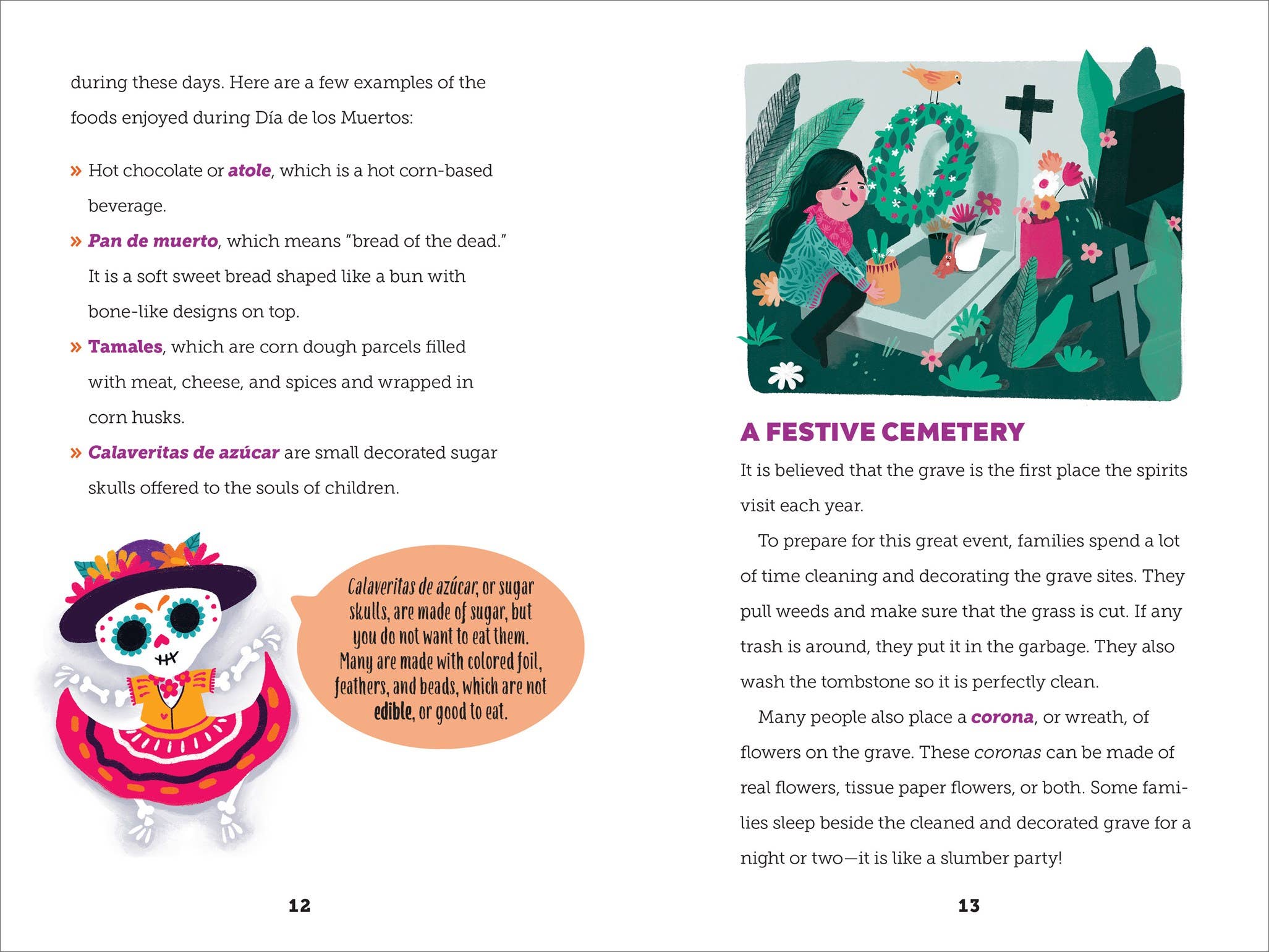 Sourcebooks - Wholesale Early Reader Book (6-8) - Why We Celebrate Día de los Muertos3