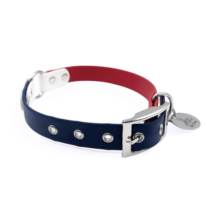Splash By Happy - Wholesale Pet Harness - Dog - 🐾🇫🇷 Frenchie Doggy Collection 🐾🇫🇷