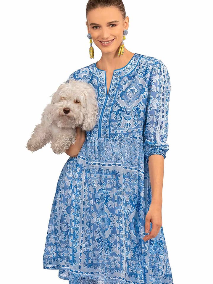 Borderline Dress - Watteau for wholesale by Gretchen Scott LLC