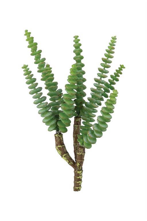 Select Artificials, Inc. - Wholesale Artificial Plant - String of Buttons Crassula Pick 11.5" Green0