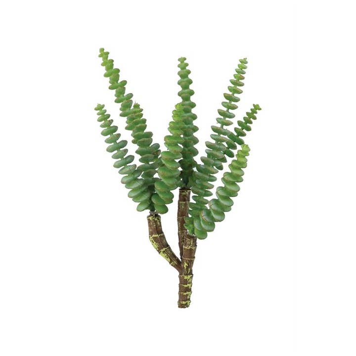Select Artificials, Inc. - Wholesale Artificial Plant - String of Buttons Crassula Pick 11.5" Green