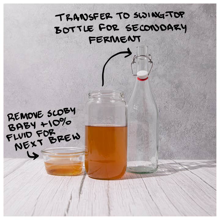Blighty Booch Kombucha – Engroshandel DIY-drikkekit – Blighty Baby Kombucha Starter Fuldt sæt - Unik gave