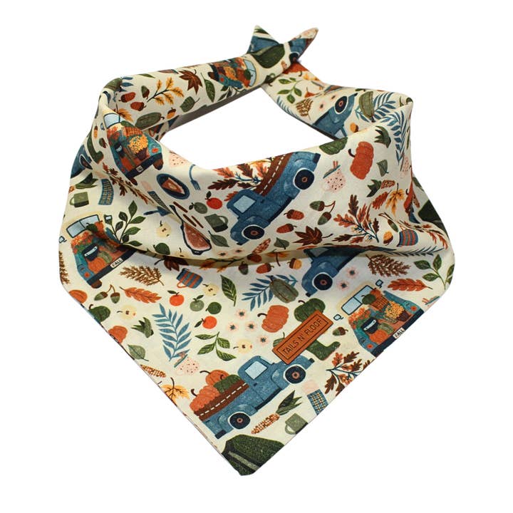 Pumpkin Patch for wholesale by TAILS N FLOOF