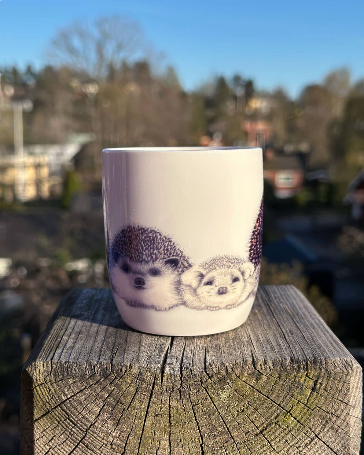 Charlotte Nicolin - Vendita all'ingrosso Tazza - Tazza da caffè Henry's Family con motivo famiglia di ricci1