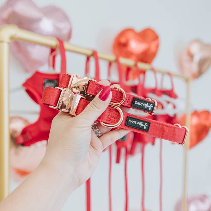 SASSY WOOF - Wholesale Pet Collar - Dog - Dog Collar - Merlot4