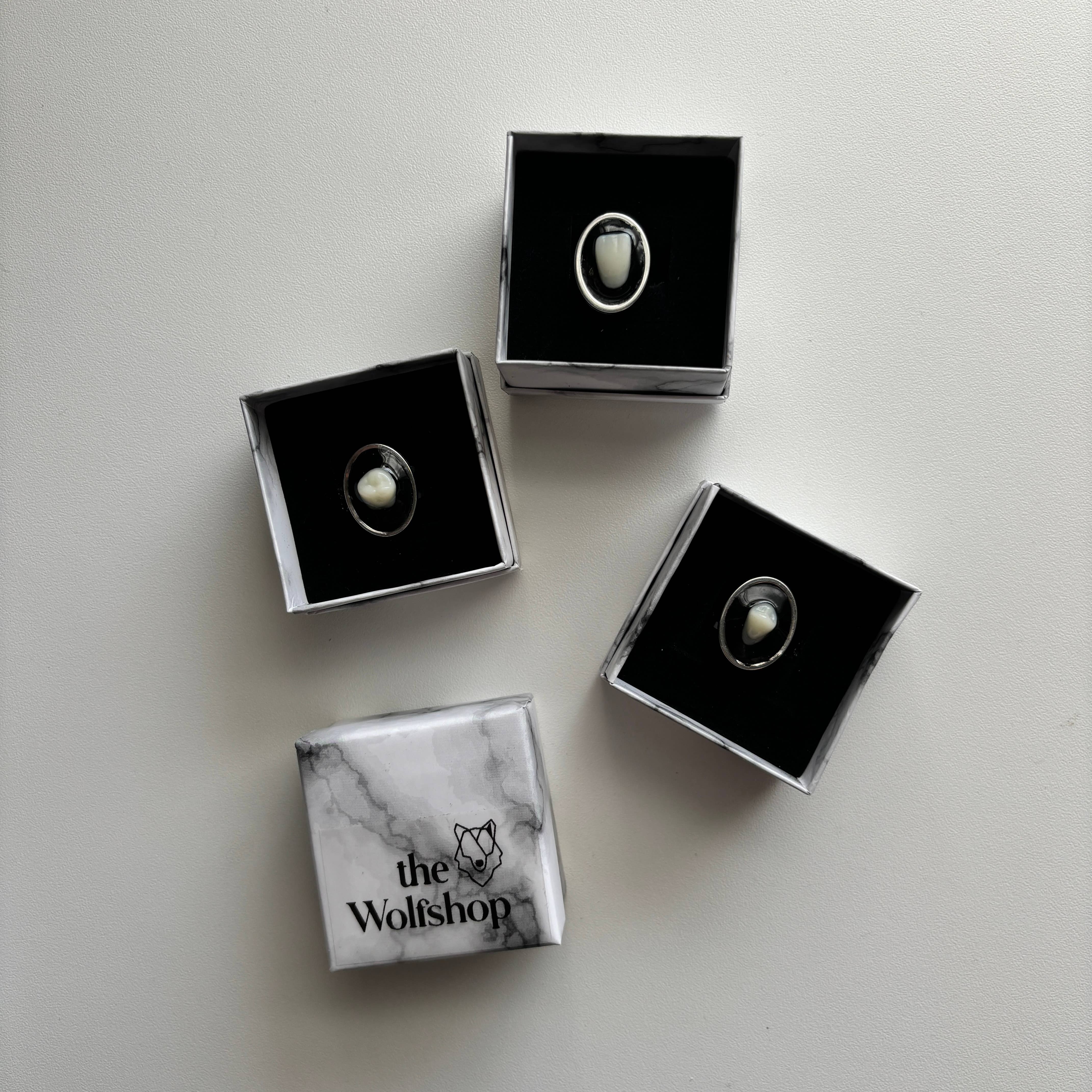 The Wolfshop - Venta al por mayor Anillos solitarios - Oddity Ring - Diente humano canino de resina4