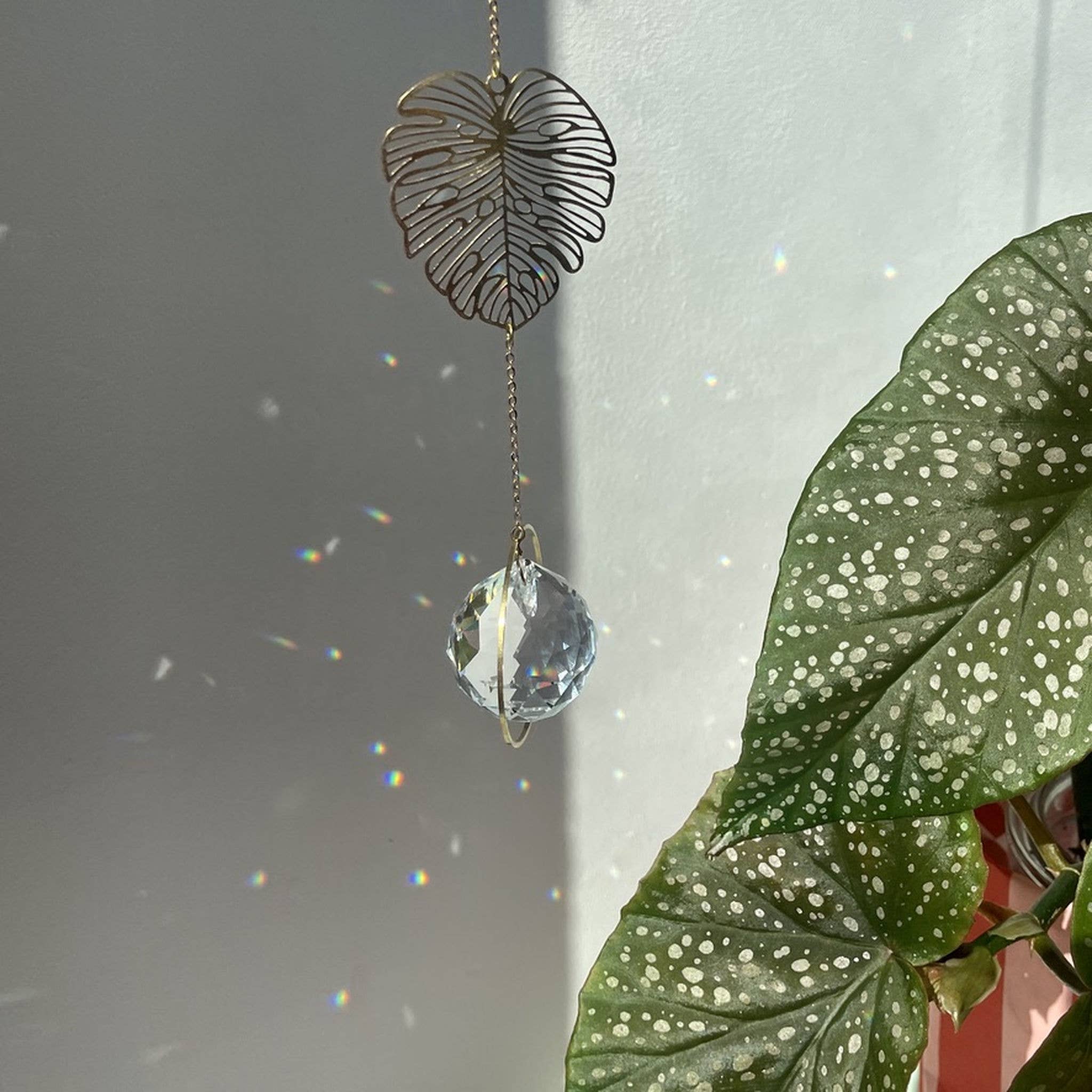 von Lani = Jewellry + Suncatchers - Wholesale Suncatcher - Suncatcher Monstera/ Light Catcher / Sun Catcher / Prism2