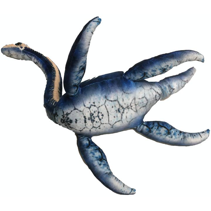 Texas Toy Distribution - Vendita all'ingrosso Peluche - Bambini e neonati - Peluche Plesiosauro 30 cm Giocattolo Morbido a Forma di Dinosauro2