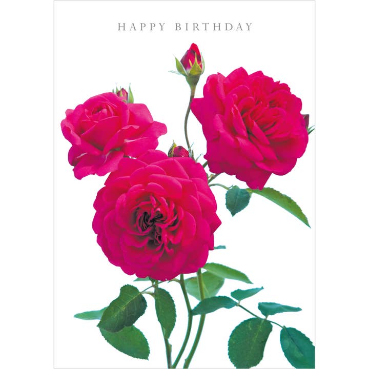 DA42 Tillykke med fødselsdagen for engroshandel hos Dyson Design