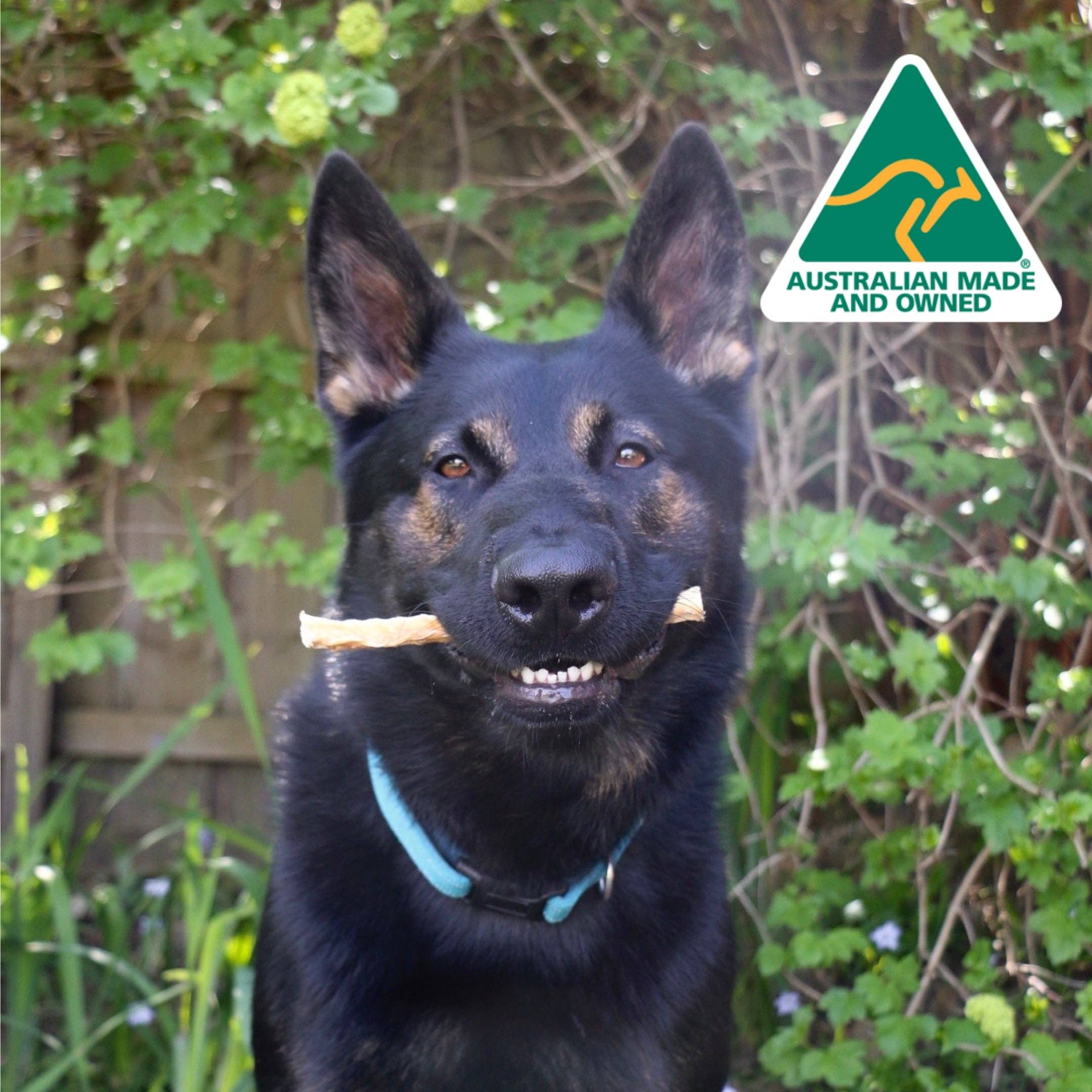 Rover Pet Products - Wholesale Pet treats – Dog - Don't Go Swimmin - Shark Cartilage7