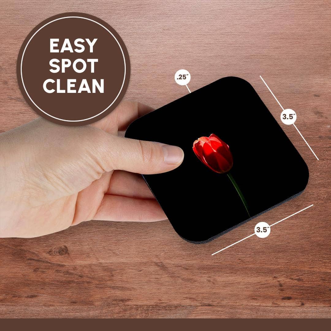 3dRose - Wholesale Coasters - 3dRose, Sunlit red tulip, black background. Minimalist composition, Coaster13