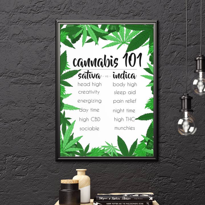 Black Cat Bazaar - Wholesale Art Print - Cannabis 101 Wall Art Print