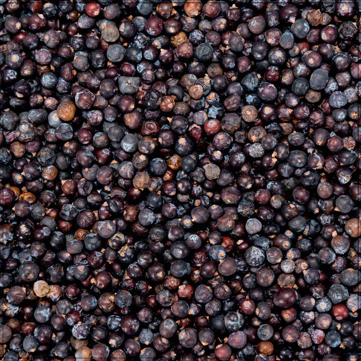 Premium Whole Juniper Berries – Aromatic & Freshly Packed for wholesale by Alive Herbals