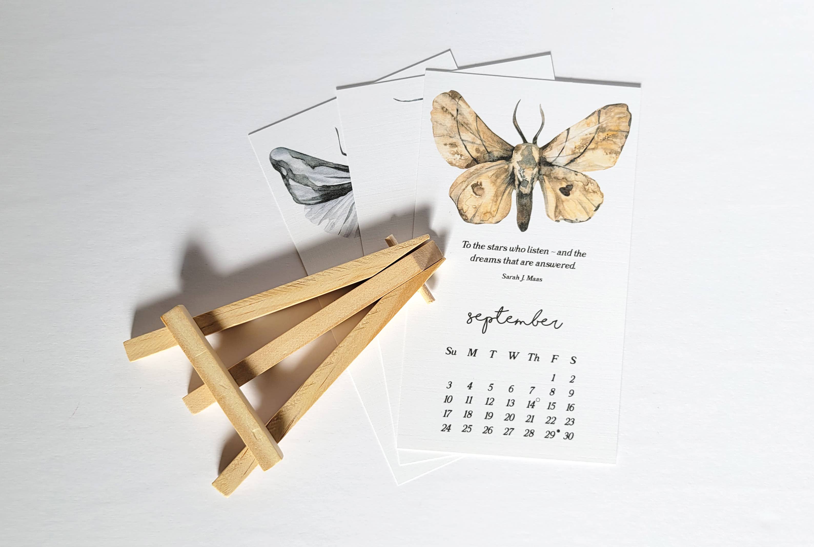 Lucky Dog Design Co. - Wholesale Calendar - Moths & Dreamy Book Quotes 2026 Desk Calendar6