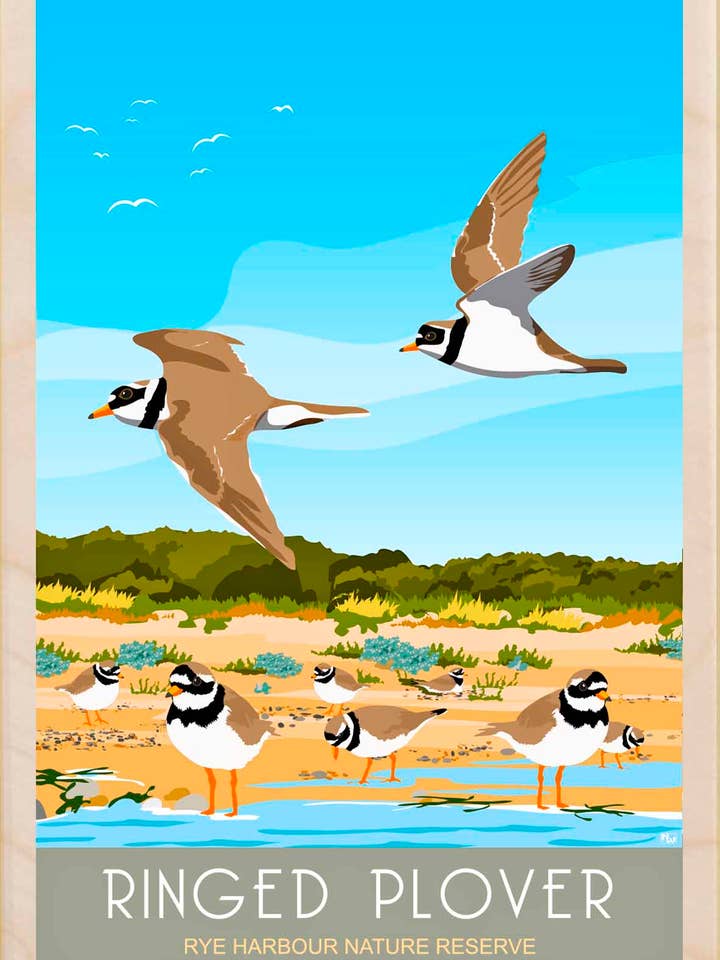 Rye, Sussex - Souvenirs écologiques pour la vente par THE WOODEN POSTCARD COMPANY