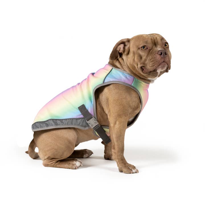 Arcobaleno Gilet rinfrescante per cani Chill Seeker (arcobaleno) in vendita all'ingrosso su Faire4