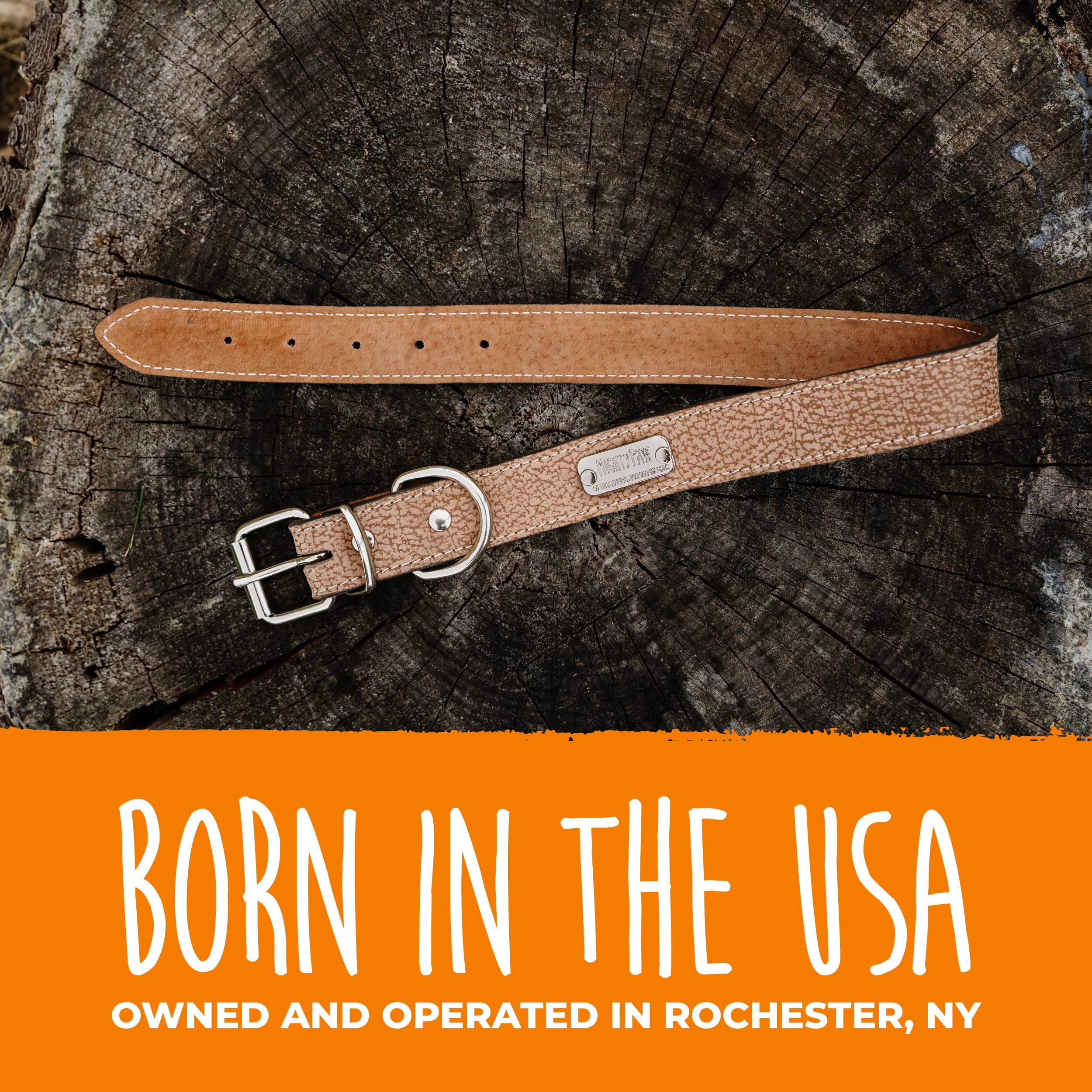 Mighty Paw - Wholesale Pet Collar - Dog - Leather Dog Collar - Distressed24