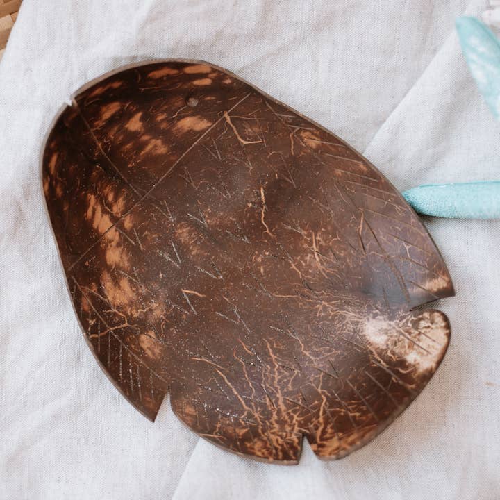 Coco Soap Tray - Fish for wholesale by Q Toys