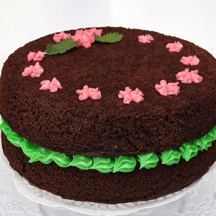 Hold The Carbs - Wholesale Cake Mix - Keto Chocolate Cake Mix5