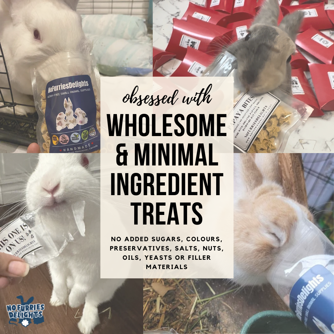 No Furries Delights - Wholesale Pet Supplement - Not Cat/Dog - Bark Variety Pack (50g | 1.76oz)8