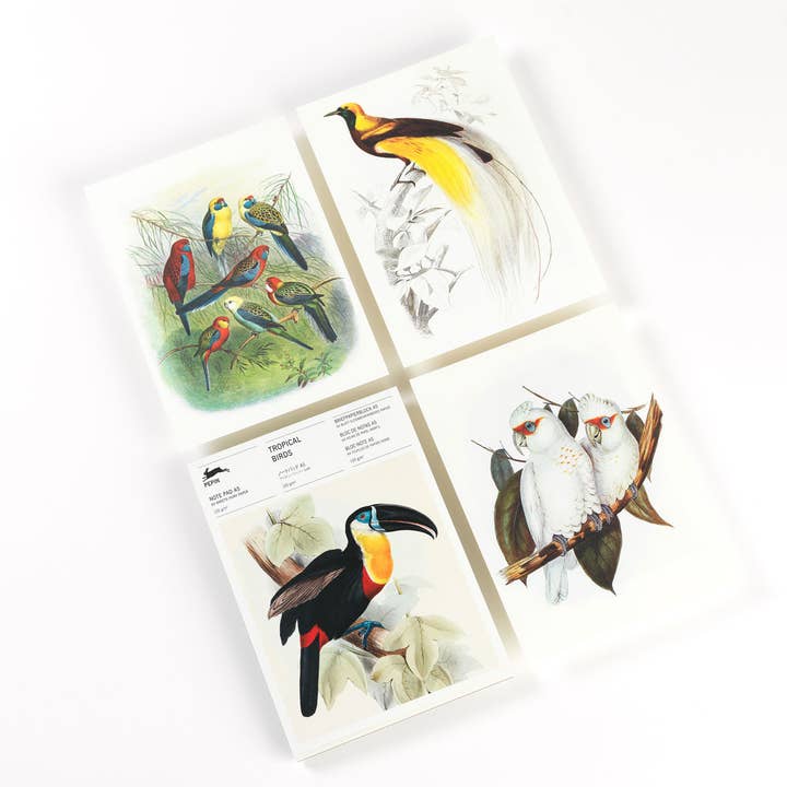 Pepin Press - Wholesale Notepad - Tropical Birds A5 Note Pad & Writing Paper1