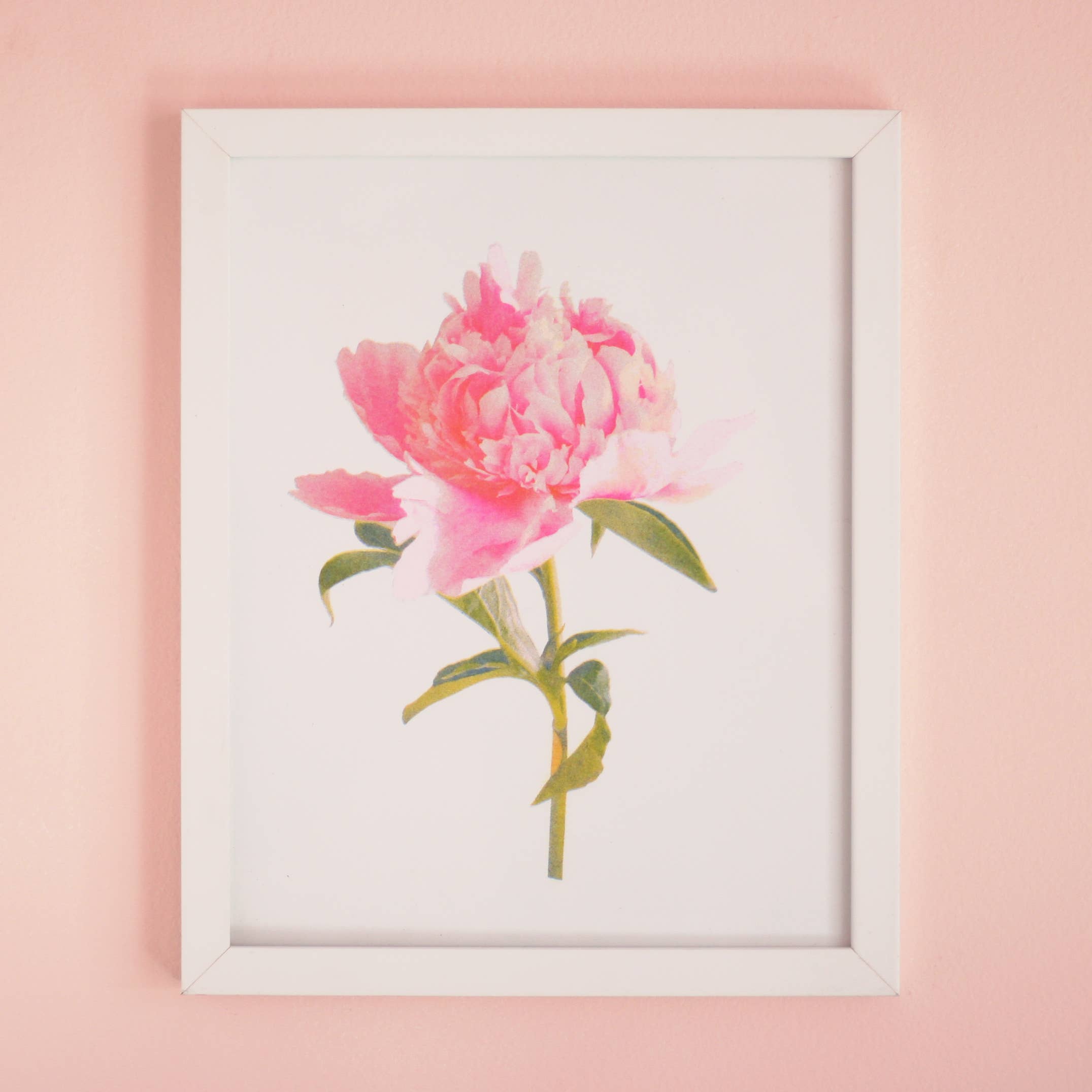 REMOVED BRAND - Wholesale Art Print - Peony Art Print  1