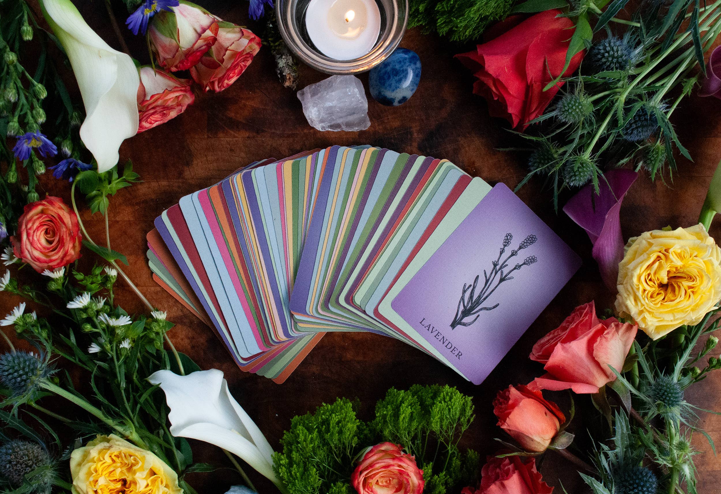 Velvetback - Wholesale Tarot Cards - 2.5" x 3.5" 60-Card Botanical Poetry Oracle Deck9